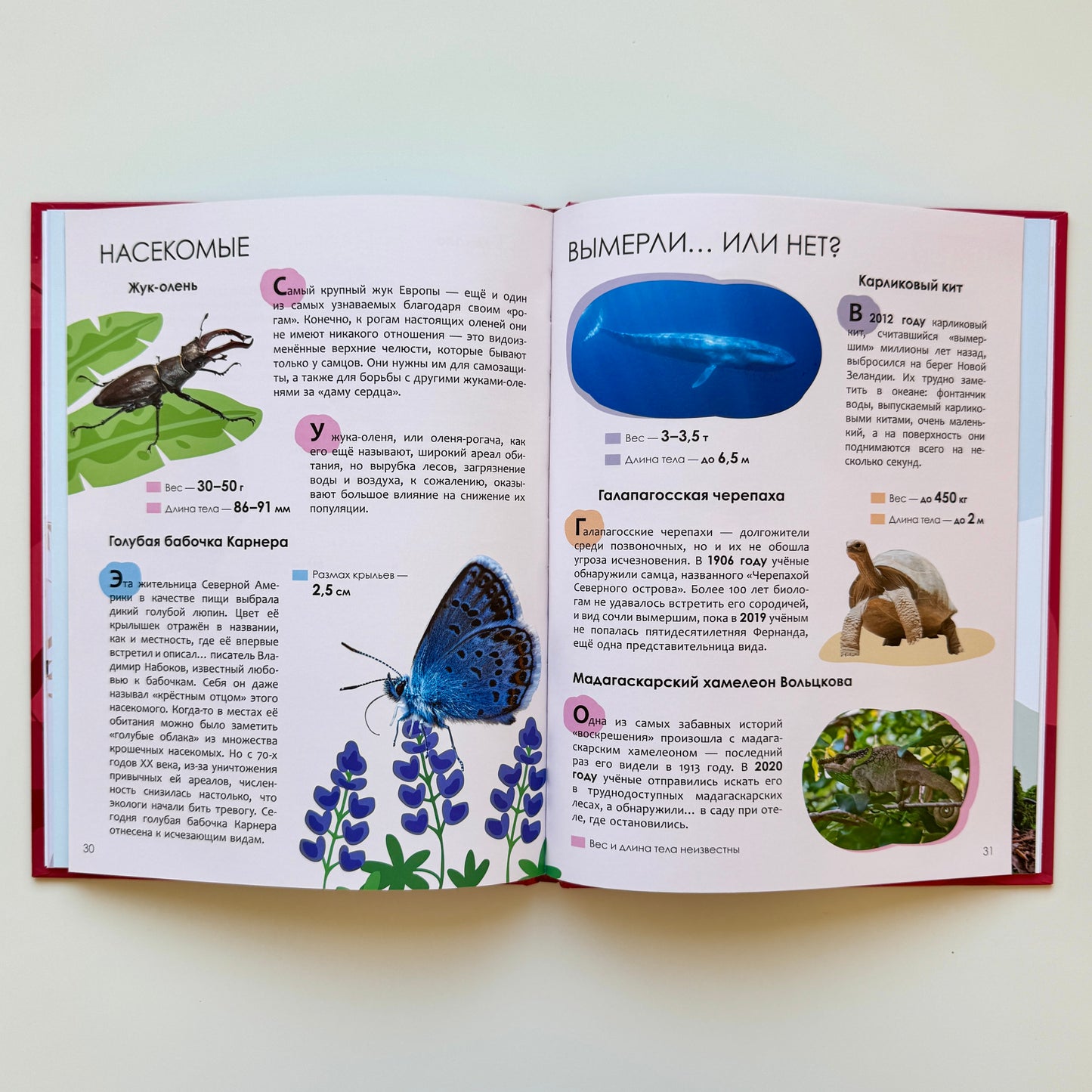 Детская энциклопедия. Красная книга