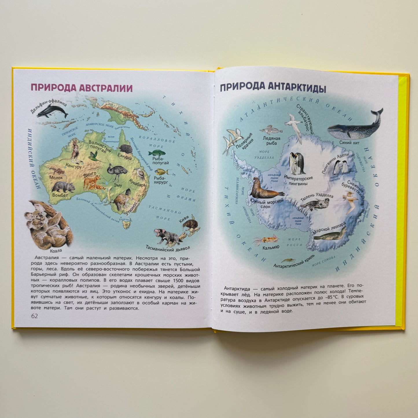Мир и человек. Мой любимый географический атлас