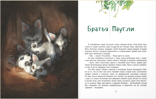 Книга джунглей. История Маугли