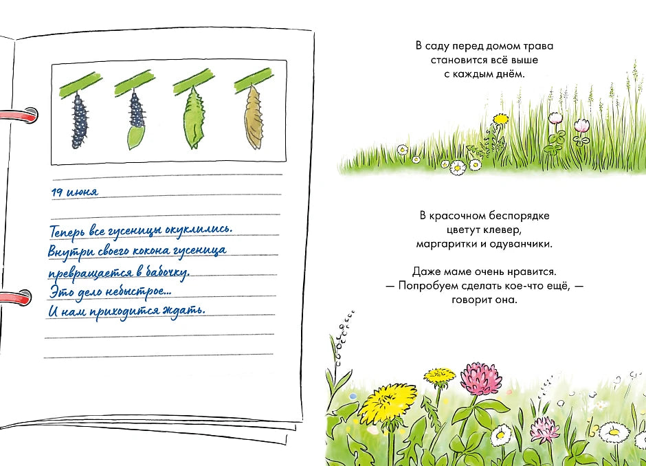 Комиксы с Конни. Дневник гусеницы