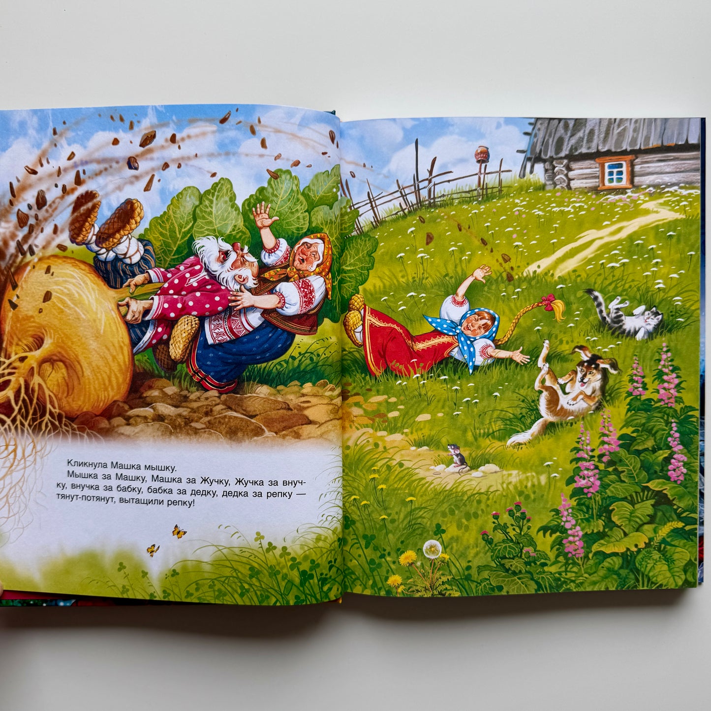 Русские народные сказки. Большая книга