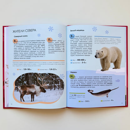 Детская энциклопедия. Красная книга