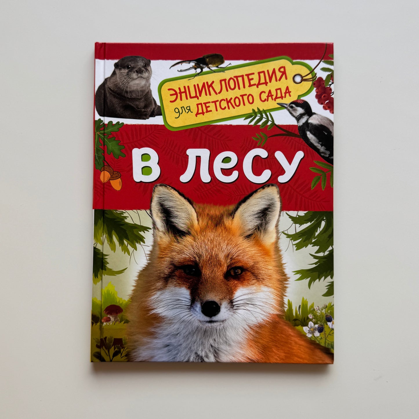 В лесу