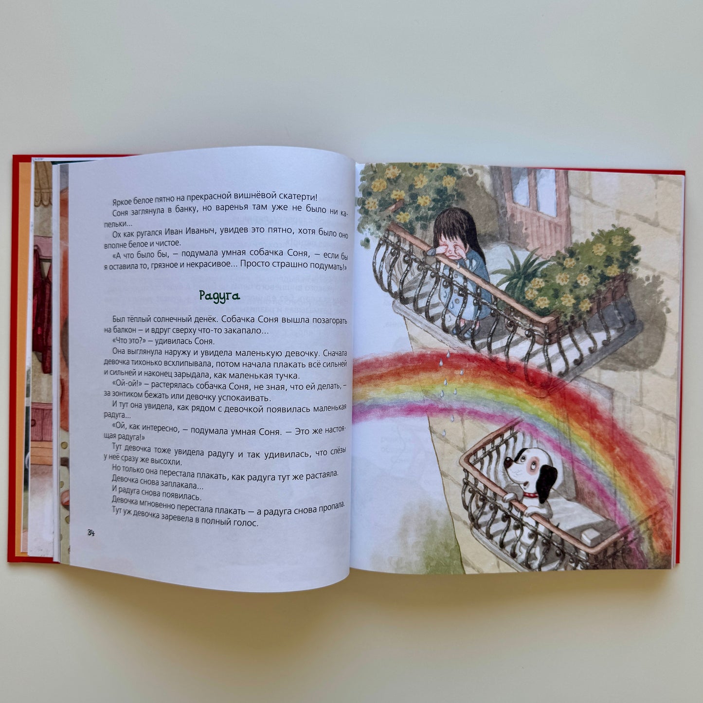 Все-все-все об умной собачке Соне