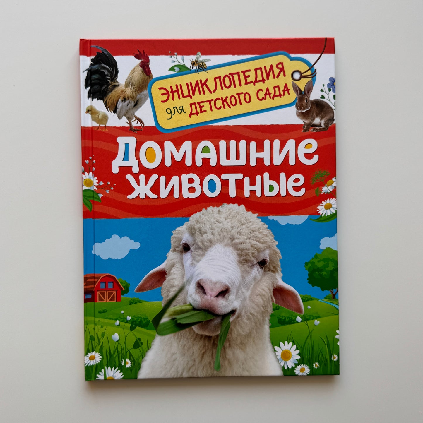 Домашние животные