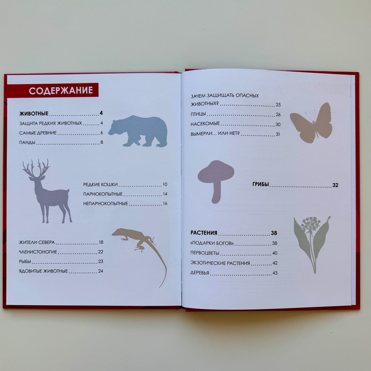 Детская энциклопедия. Красная книга