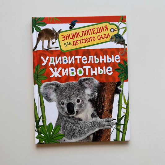 Удивительные животные