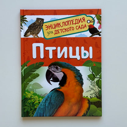 Птицы