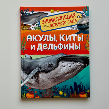 Акулы, киты и дельфины