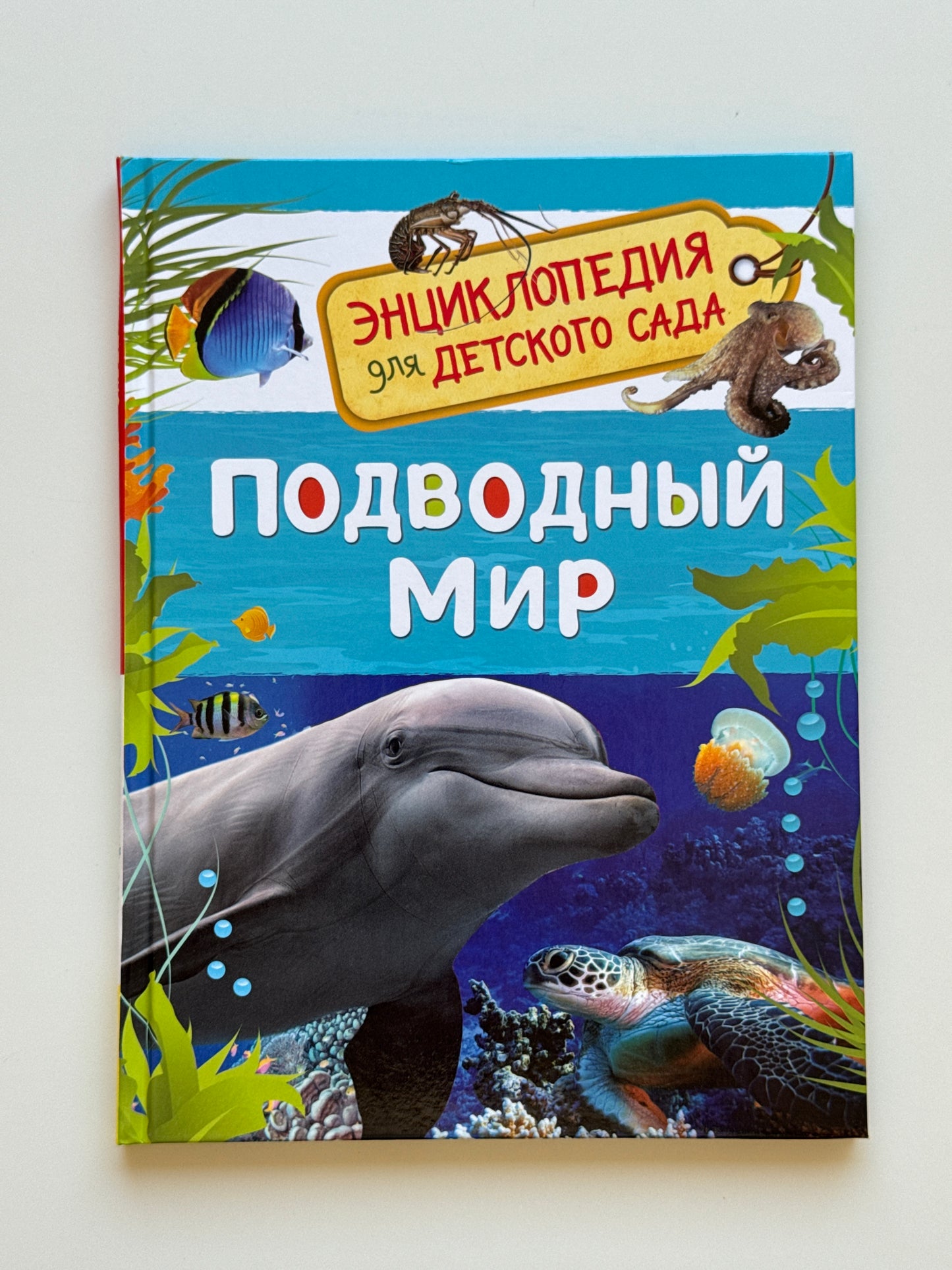Подводный мир