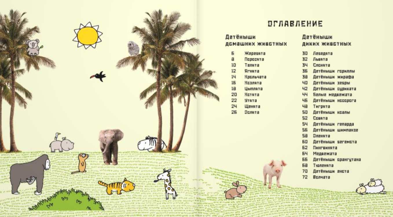 Это мой малыш! Детёныши разных животных