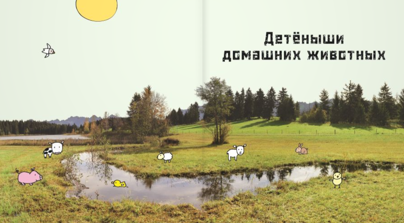 Это мой малыш! Детёныши разных животных