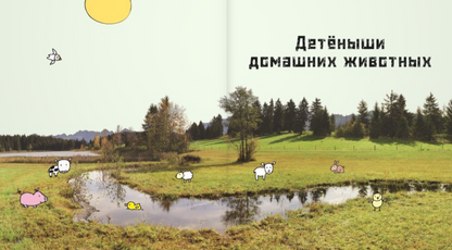 Это мой малыш! Детёныши разных животных
