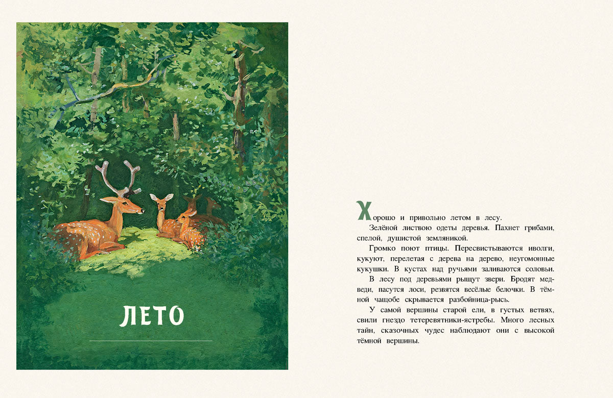 Год в лесу