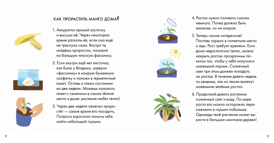 Я знаю, что я ем. Фрукты
