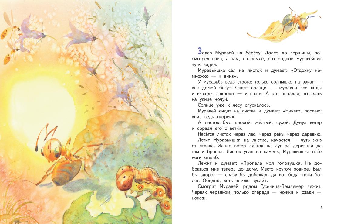 Как муравьишка домой спешил