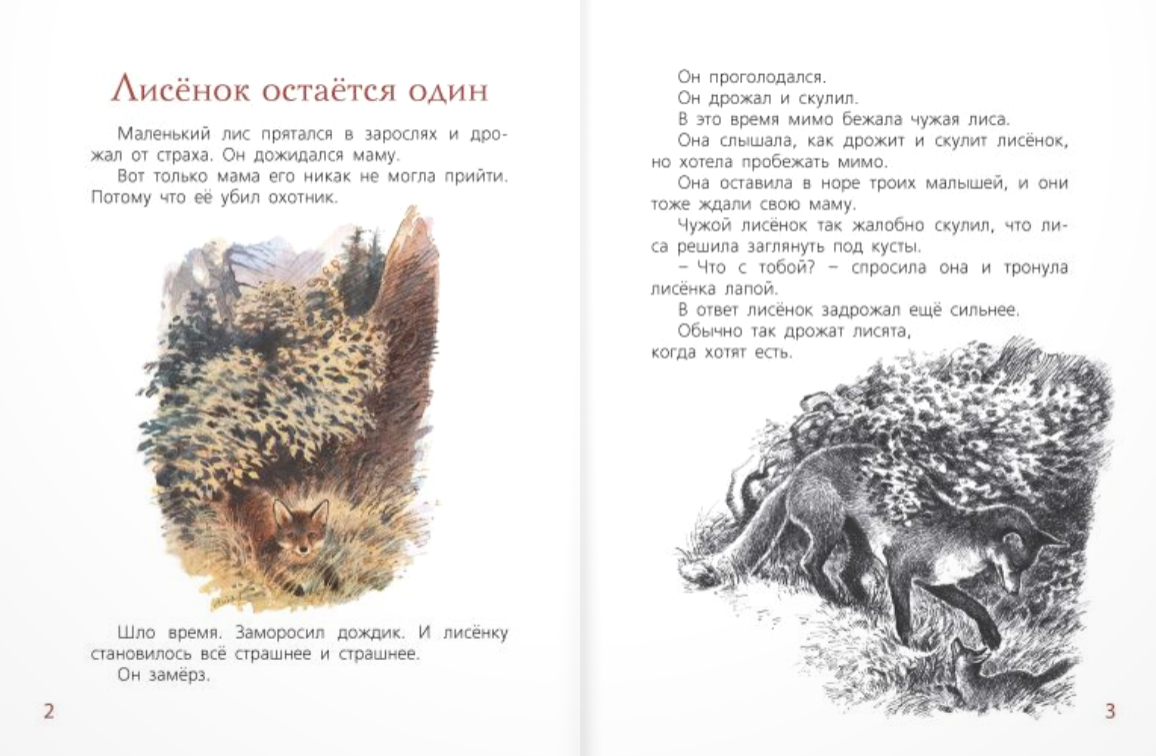 Мама для лисёнка