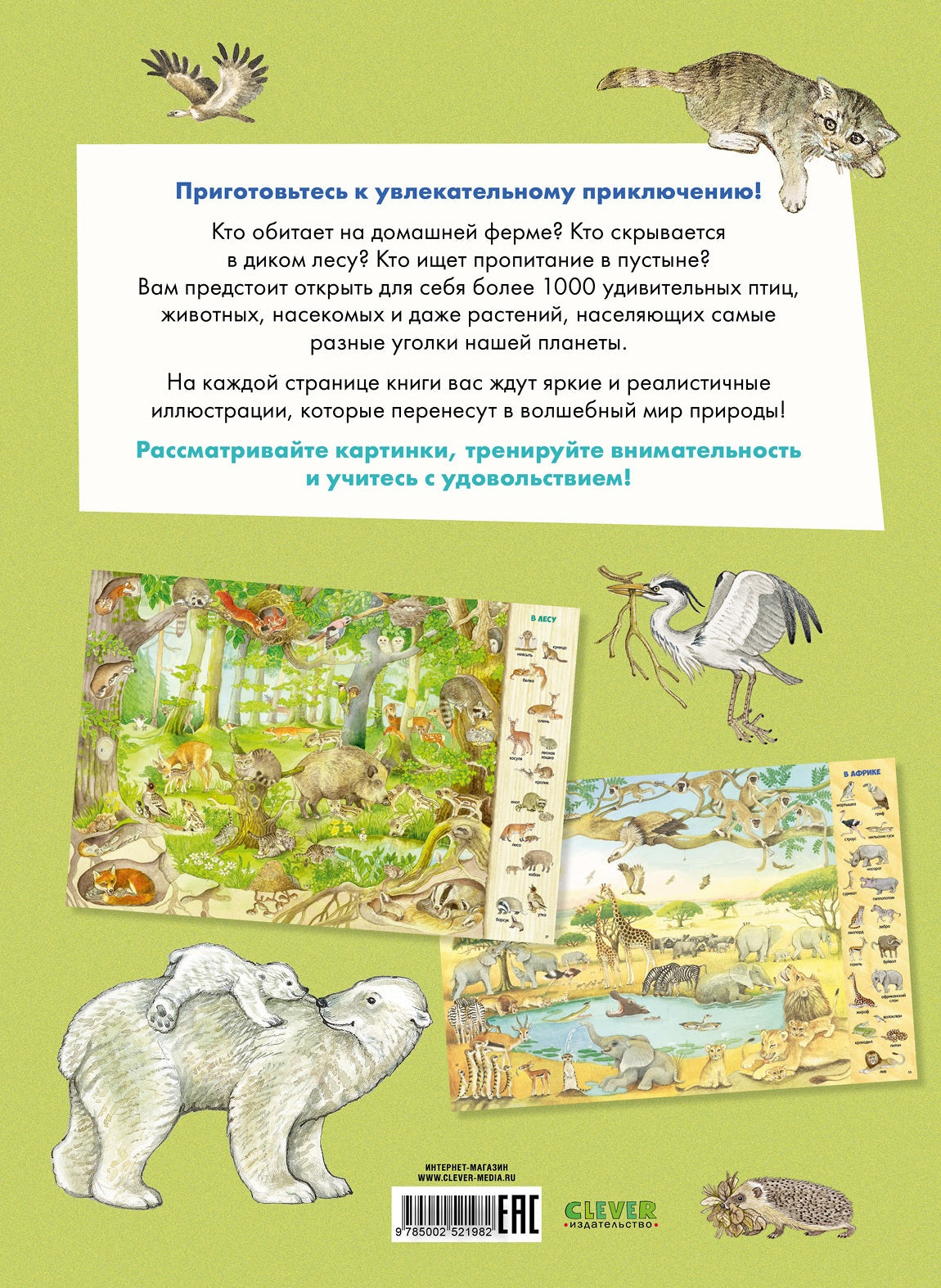 Найди и покажи. 1000 животных