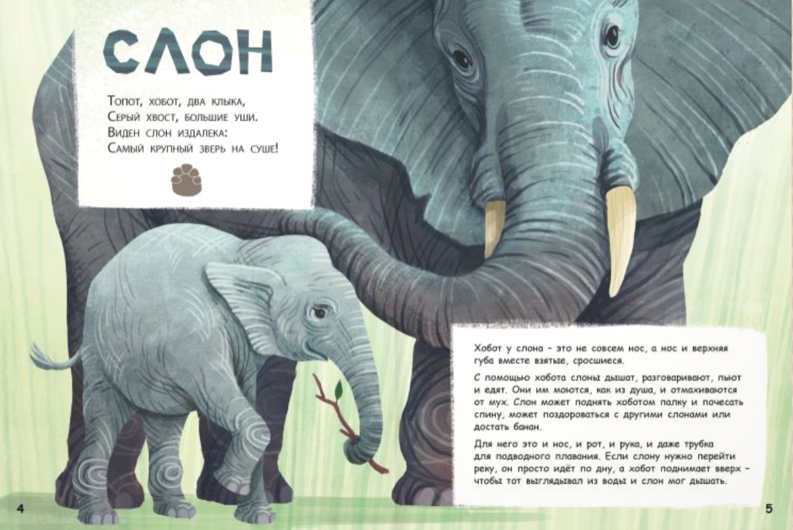 Они такие разные!
