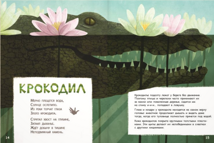 Они такие разные!