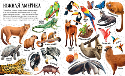 Приключения улитки Элли в мире животных