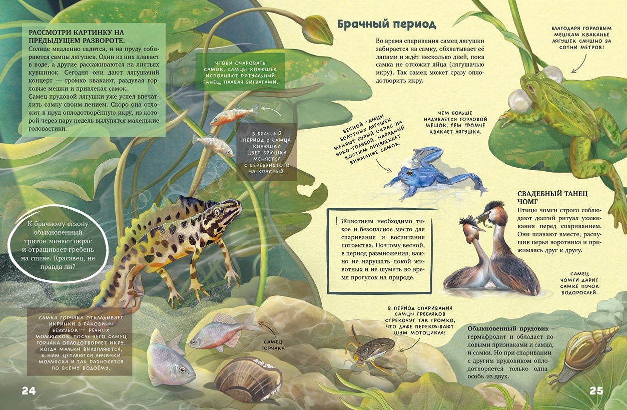 Секреты животных озера. Визуальная энциклопедия