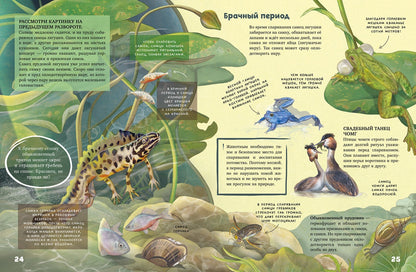 Секреты животных озера. Визуальная энциклопедия