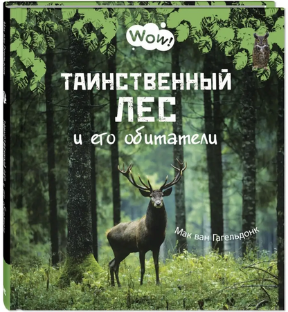 Таинственный лес и его обитатели