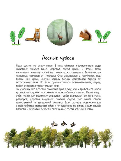 Таинственный лес и его обитатели