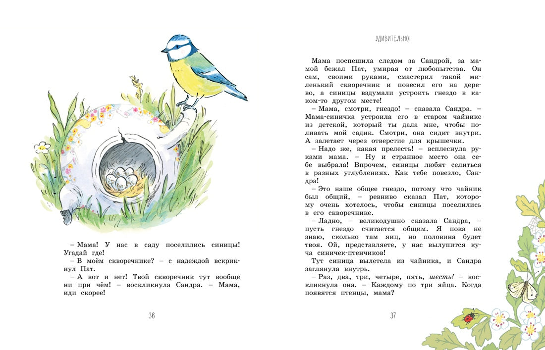 Волшебные сказки круглый год