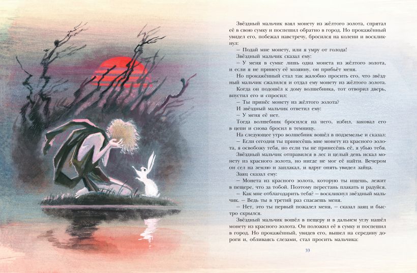 Звездный мальчик. Сказки (ил. Н. Гольц)